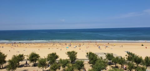 Beach, Sea view
