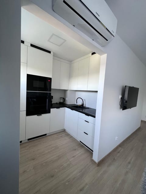 Kitchen or kitchenette, dishwasher, minibar, stove