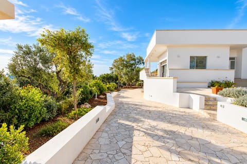 Property building, Day, Garden