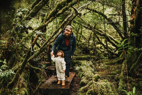 Pine Edge Heights by Tiny Away House in Tasmania