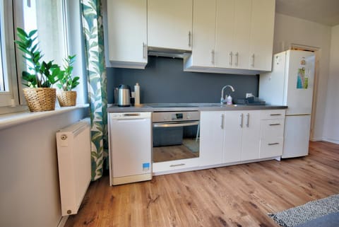 Kitchen or kitchenette, dishwasher