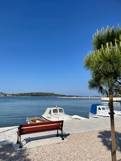 Day, Activities, Beach