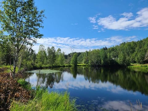 Nearby landmark, Spring, Day, Natural landscape, Lake view, River view