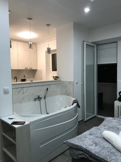 Apartman Oler Apartment in Vojvodina