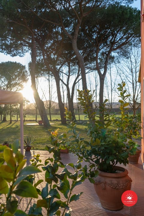 Fattoria Battilana Country House in Carrara