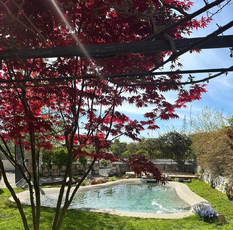 Day, Natural landscape, Garden view, Pool view, Swimming pool, Swimming pool