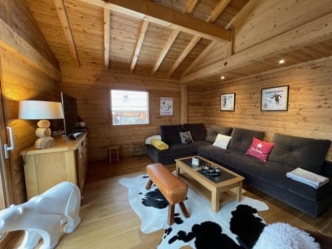 Confortable chalet 12 personnes avec WiFi et parking, près des pistes - FR-1-733-25 Chalet in Haute-Savoie