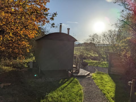 Natural landscape, Garden view