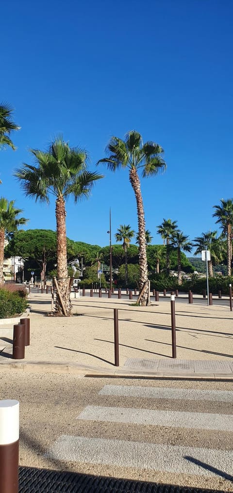 Bandol and Beach pour 2 à 3 personnes Apartment in French Riviera