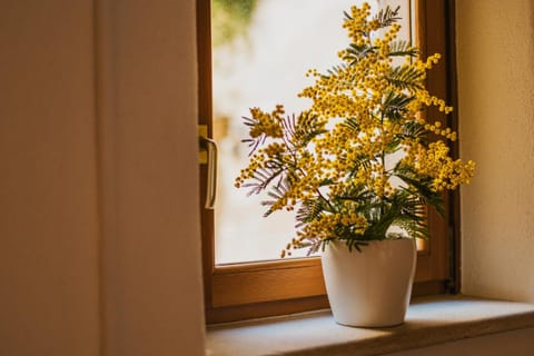 Casa ‘Crystal’ House in Novigrad