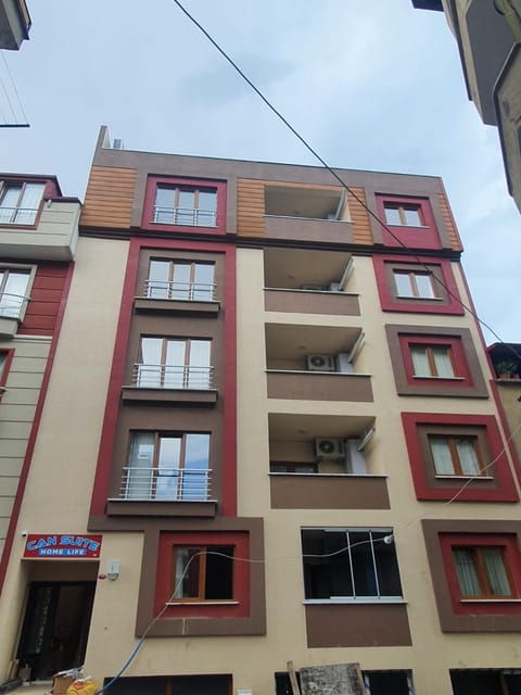 Property building, Day