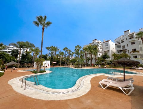 Summer, Beach, Swimming pool, sunbed