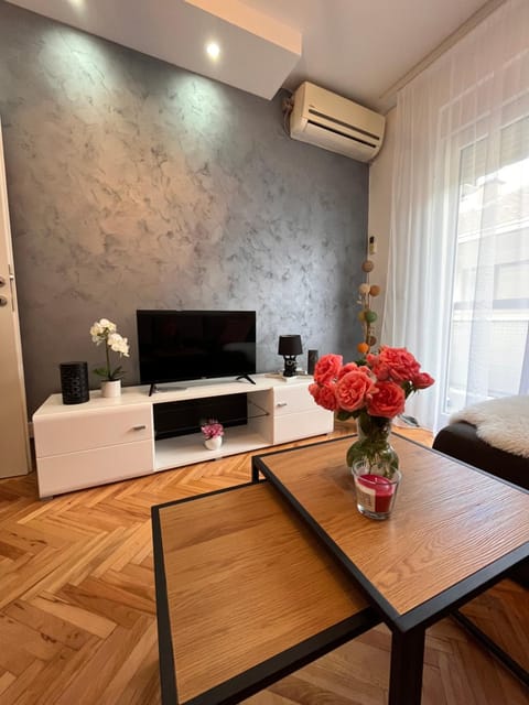 Apartman Polo Apartment in Serbia