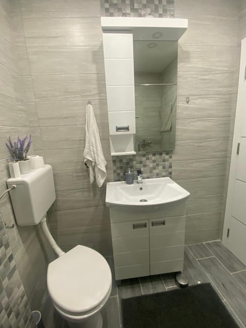 Apartman Polo Apartment in Serbia