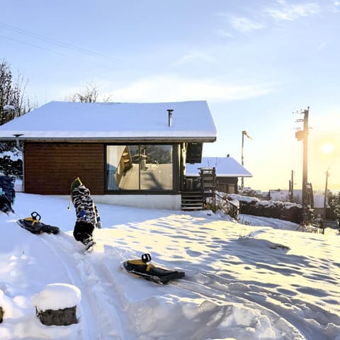 Chalet Charmant rénové au bord du Lac St Point Chalet in Canton of Vaud