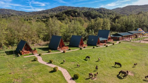 Garden, Garden view, Mountain view