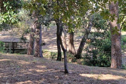 A 2 min des plages Clim parking Apartment in Sainte-Maxime