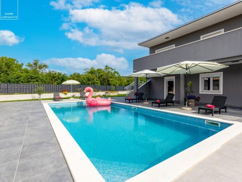 Patio, Day, Swimming pool, sunbed