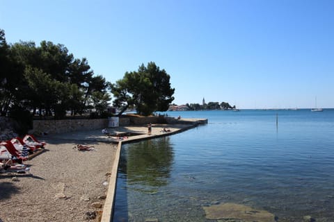 GIANNA A4+2 Apartment in Novigrad