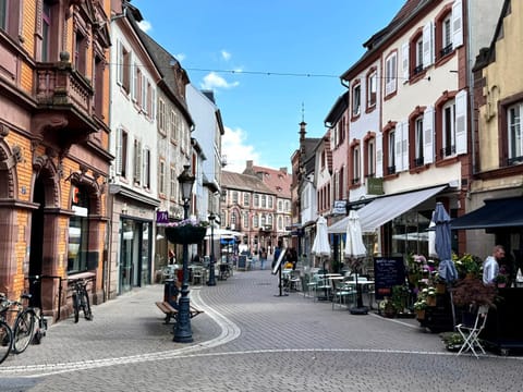 Joli 2 pièces, avec climatisation et grande terrasse, vue sur les toits, zone piétonne Apartment in Haguenau