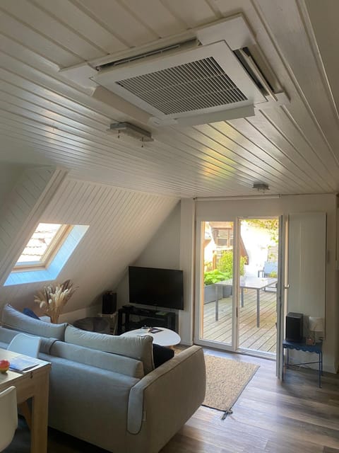 Joli 2 pièces, avec climatisation et grande terrasse, vue sur les toits, zone piétonne Apartment in Haguenau