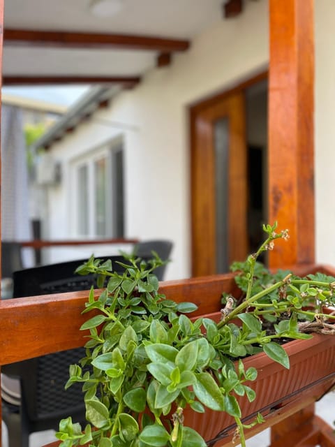 Rustic Villa Villa in Serbia