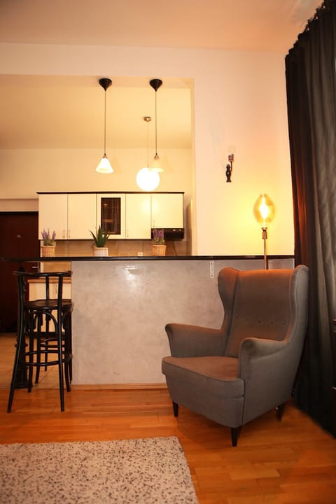 Kitchen or kitchenette, Living room, Seating area, Dining area