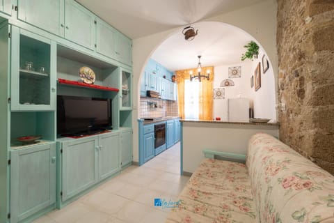 TV and multimedia, Kitchen or kitchenette, Living room, minibar, pet friendly, air conditioner, air conditioner