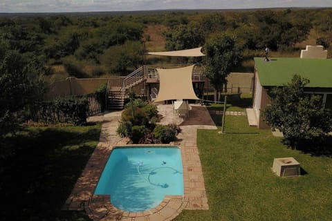 Garden, Swimming pool