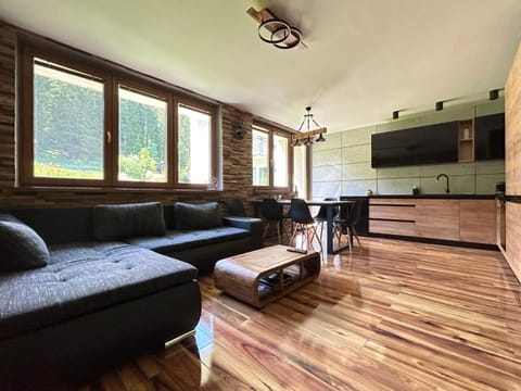 Kitchen or kitchenette, Living room, Seating area, Dining area, dishwasher, minibar, pet friendly, stove