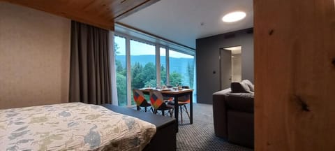 Photo of the whole room, Mountain view