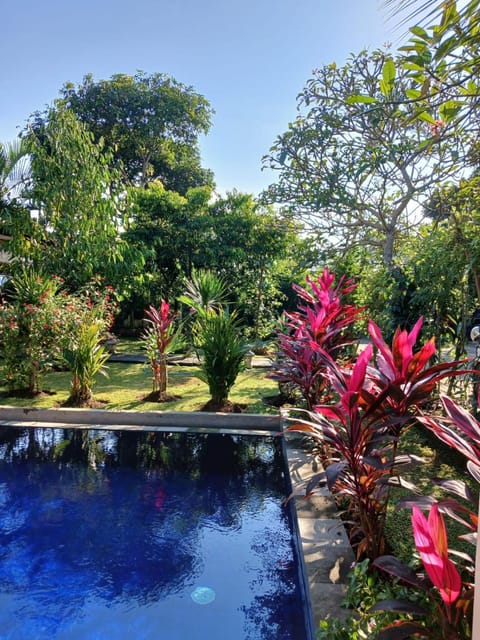 Garden view, Swimming pool