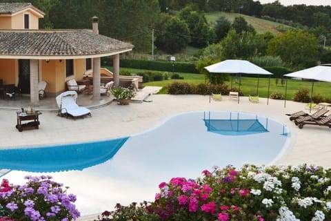 Patio, Natural landscape, Garden, Garden view, Swimming pool, sunbed
