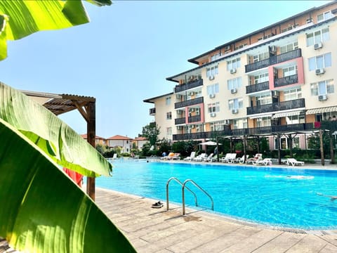 Pool view, Swimming pool