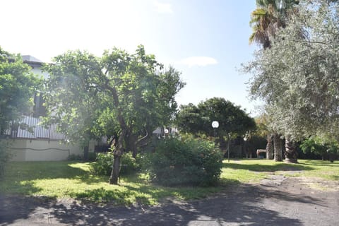 Spring, Day, Natural landscape, Garden, Garden view