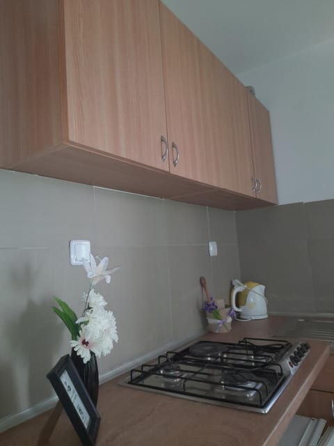 Leon Apartment in Supetarska Draga