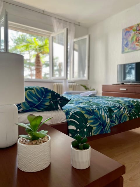 Bed, TV and multimedia
