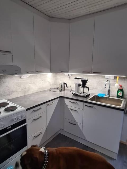 Mukavä mökki luonnon rauhassa maaseudulla. House in Finland