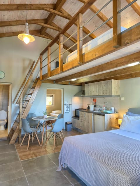 Bed, Kitchen or kitchenette, Photo of the whole room, Seating area, Dining area, Bedroom