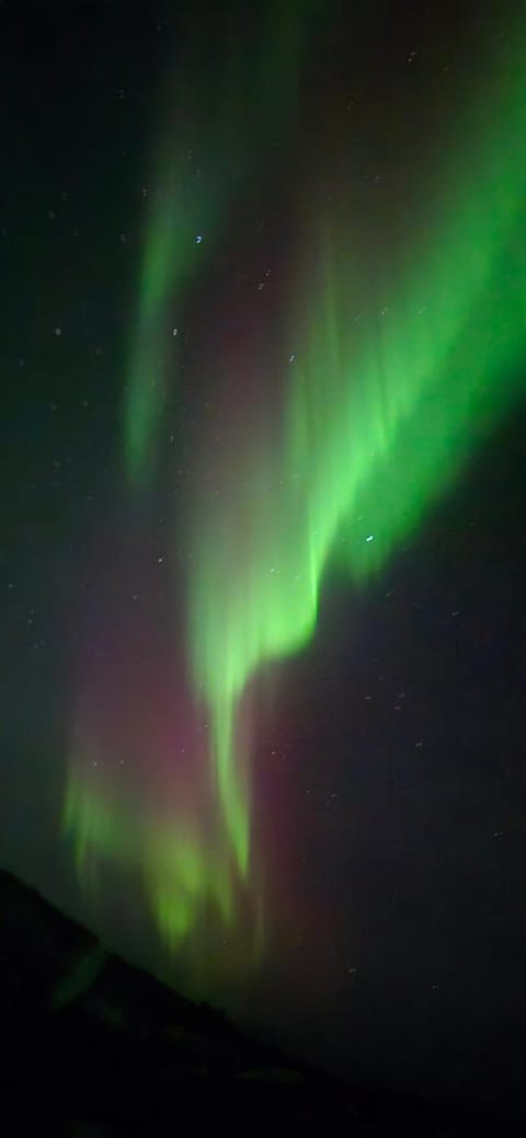 Senjavista, near nature, sea and mighty mountains House in Nordland, Norway