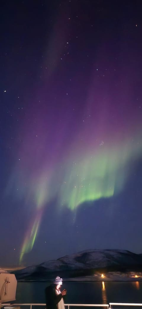 Senjavista, near nature, sea and mighty mountains House in Nordland, Norway