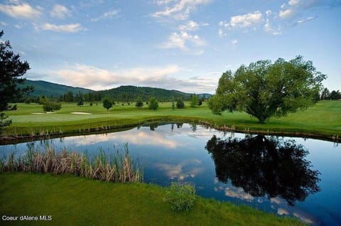 Golfcourse