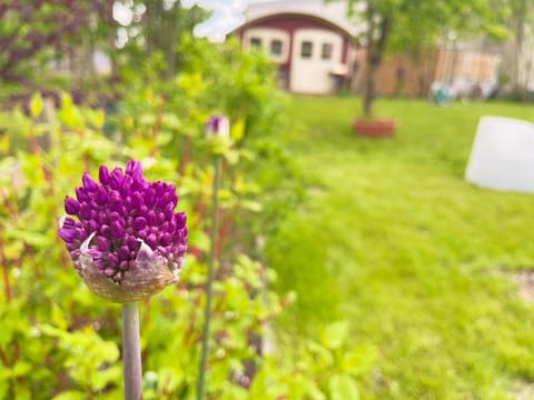 Garden, Garden view