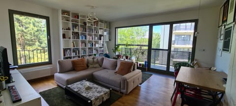 Library, Living room, Seating area