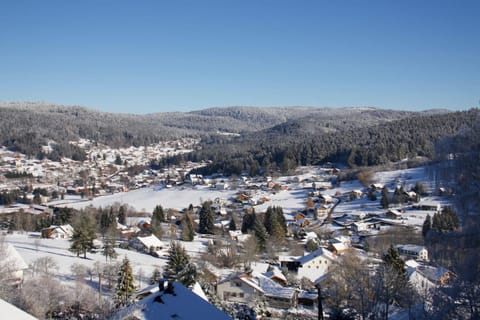 L'entre 2 Lacs Apartment in Xonrupt-Longemer