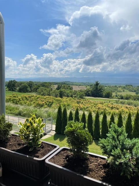 Apartmani Milosavljević Apartment in Serbia