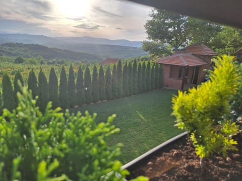 Apartmani Milosavljević Apartment in Serbia