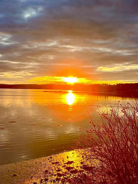 Natural landscape, Sunrise