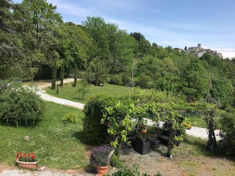 Garden view