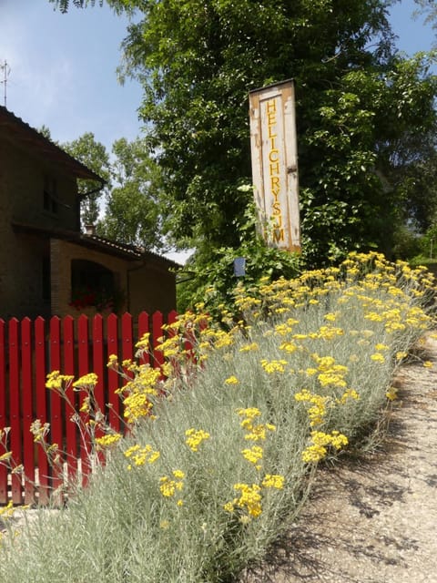 Helichrysum Bed and Breakfast in Vinci